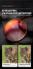 Монокуляр Eyeskey ProPilot APO EM - 10x42 EyeS-M100 от прозводителя Eyeskey